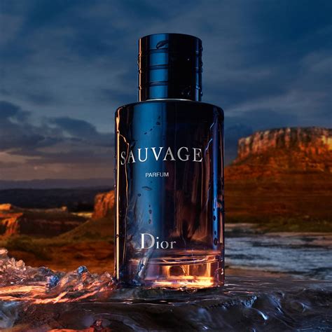 sauvage dior eua de parfum|dior sauvage eau de parfum 100ml best price.